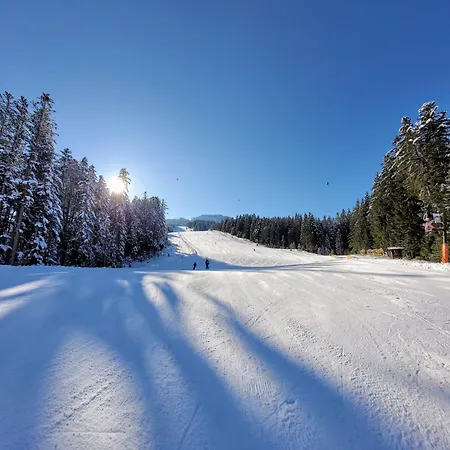Alpenhaus Dachstein.zauber Lägenhet *