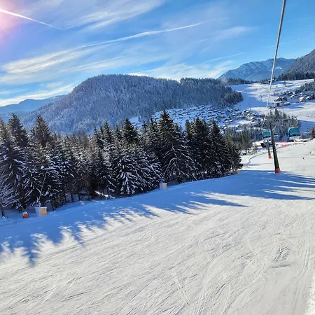 Alpenhaus Dachstein.zauber *