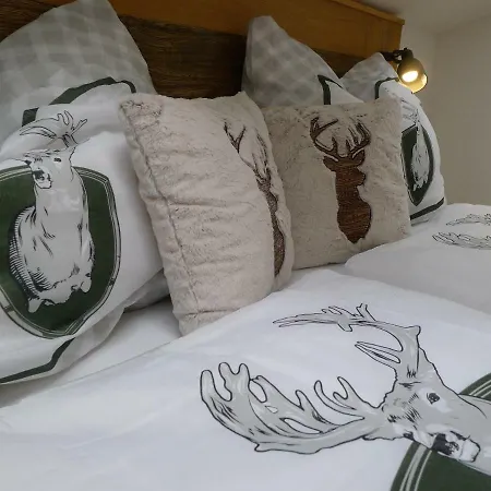 Apartament Alpenhaus Dachstein.zauber