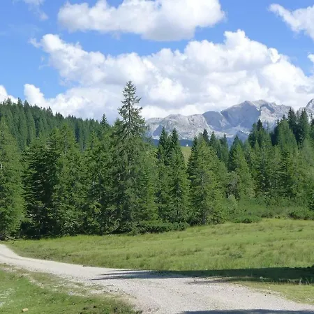 Apartment Alpenhaus Dachstein.zauber *