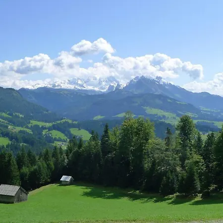 Alpenhaus Dachstein.zauber Apartment Abtenau