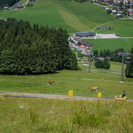 Alpenhaus Dachstein.zauber Apartment *