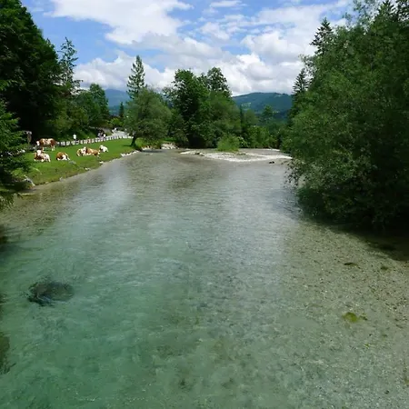 Alpenhaus Dachstein.zauber
