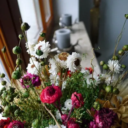 公寓 达奇斯坦糟贝尔公寓 阿布特瑙