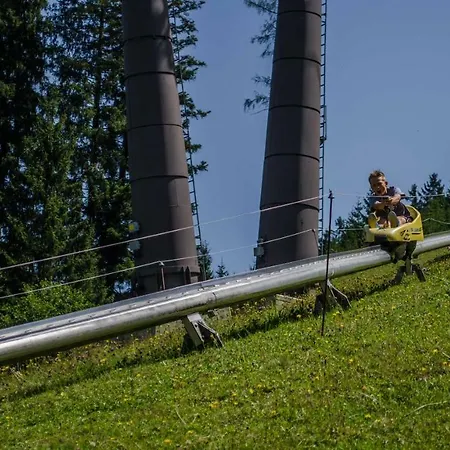 Alpenhaus Dachstein.zauber Apartment *
