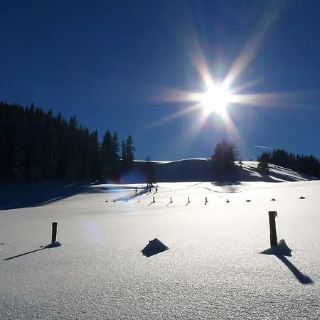 Apartament Alpenhaus Dachstein.zauber *