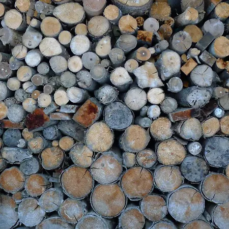 Alpenhaus Dachstein.zauber