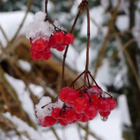 公寓 达奇斯坦糟贝尔公寓