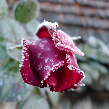 Alpenhaus Dachstein.zauber Lägenhet