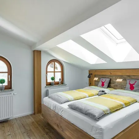 Apartament Alpenhaus Dachstein.zauber *