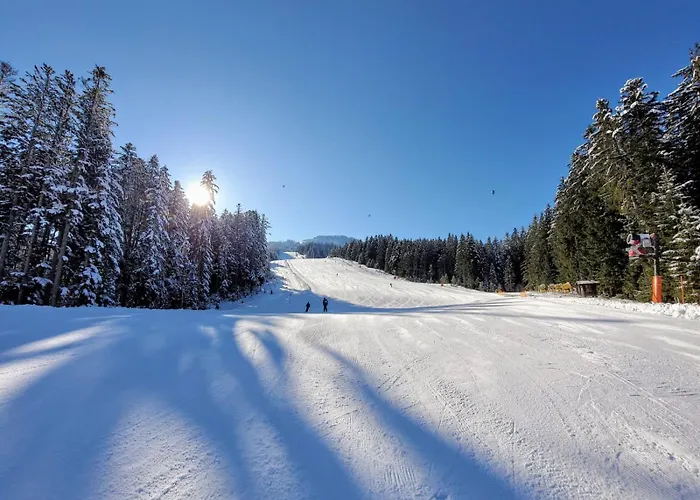 Alpenhaus Dachstein.zauber Apartament *
