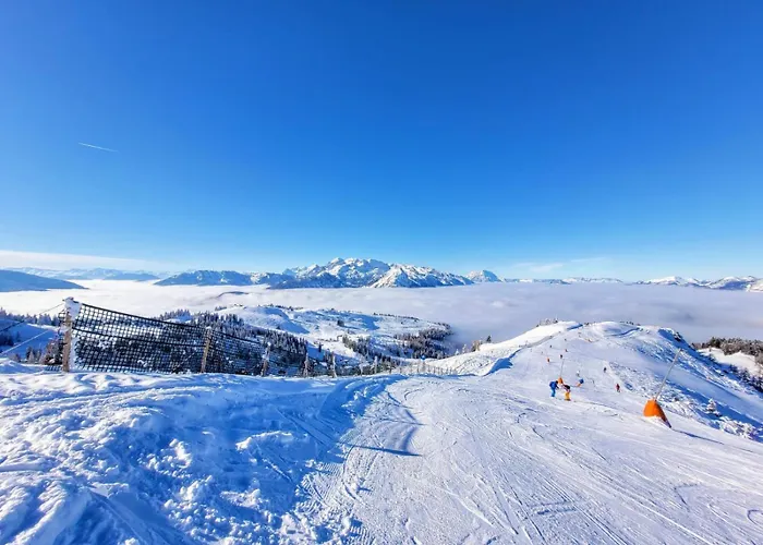 Alpenhaus Dachstein.zauber Lejlighed