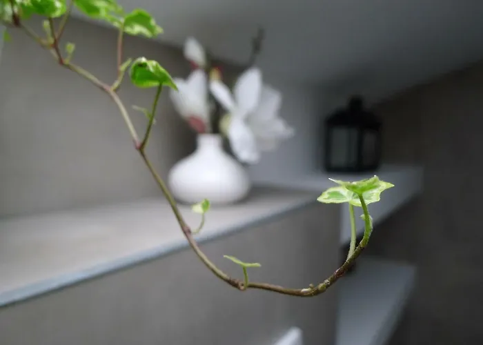 Alpenhaus Dachstein.zauber Daire