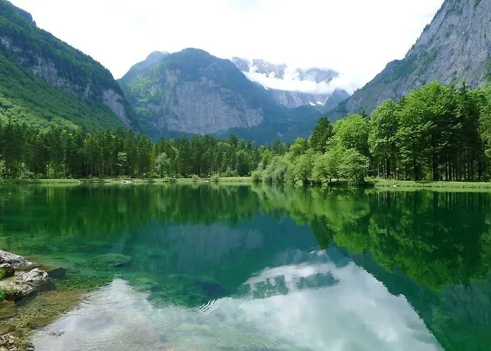 Alpenhaus Dachstein.zauber Lejlighed Abtenau