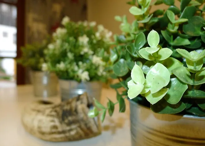 Alpenhaus Dachstein.zauber