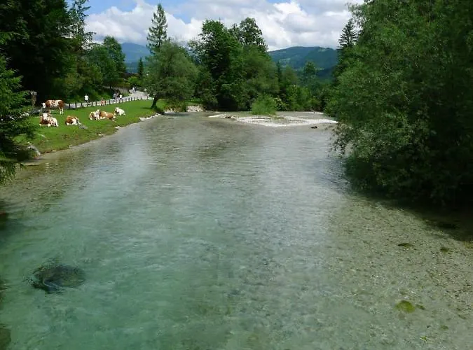 Alpenhaus Dachstein.zauber