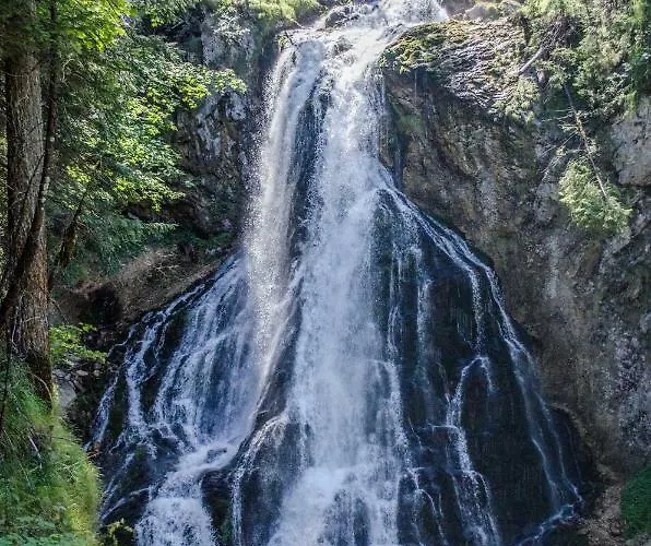Lejlighed Alpenhaus Dachstein.zauber Abtenau