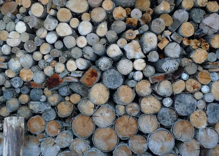 Alpenhaus Dachstein.zauber