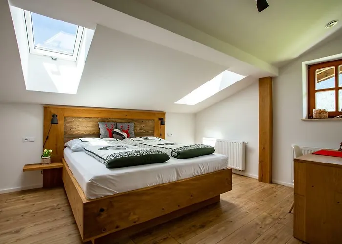 Alpenhaus Dachstein.zauber Abtenau